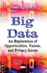 Cody Agnellutti - Big Data