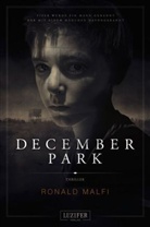 Ronald Malfi - December Park