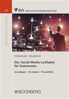 Domini Fehringer, Dominik Fehringer, Dominik (Dipl.-Verwaltungswissenschaftl Fehringer, Christian Solmecke - Der Social-Media-Leitfaden f&uuml;r Kommunen