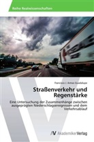 Francisco J Armas Guadalupe, Francisco J. Armas Guadalupe - Straßenverkehr und Regenstärke