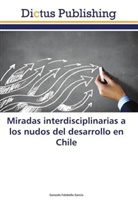 Gonzalo Falabella García - Miradas interdisciplinarias a los nudos del desarrollo en Chile