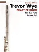 Trevor Wye - Trevor Wye Practice Book for the Flute Books 1-6