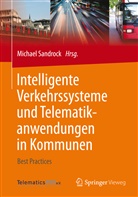 Michae Sandrock, Michael Sandrock - Intelligente Verkehrssysteme und Telematikanwendungen in Kommunen
