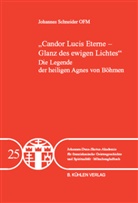 Johannes Schneider - "Candor Lucis Eterne - Glanz des ewigen Lichtes" - Band 25