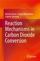Michel Aresta, Michele Aresta, Angel Dibenedetto, Angela Dibenedetto, Euge Quaranta, Eugenio Quaranta... - Reaction Mechanisms in Carbon Dioxide Conversion