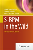 Albert Fleischmann, Werne Schmidt, Werner Schmidt, Christian Stary - S-BPM in the Wild