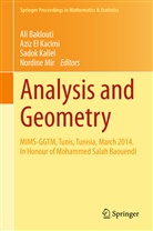 Ali Baklouti, Azi El Kacimi, Aziz El Kacimi, Sadok Kallel, Sadok Kallel et al, Nordine Mir - Analysis and Geometry