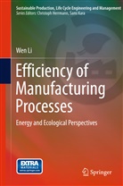 Wen Li - Efficiency of Manufacturing Processes