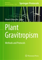 Eliso B Blancaflor, Elison B Blancaflor, Elison B. Blancaflor - Plant Gravitropism
