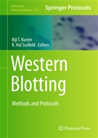 Hal Scofield, Hal Scofield, Biji T. Kurien, R. Hal Scofield, Bij T Kurien, Biji T Kurien - Western Blotting