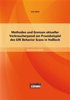 Julia Göthe - Methoden und Grenzen aktueller Verbraucherpanel am Praxisbeispiel des GfK Behavior Scans in Haßloch