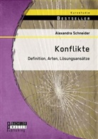 Alexandra Schneider - Konflikte: Definition, Arten, Lösungsansätze