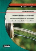 Michaela Hörbinger - Wasserstrahlschneiden: Verfahrensmöglichkeiten und Vergleich mit alternativen industriellen Trennverfahren