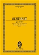 Franz Schubert, Ma Hochkofler, Max Hochkofler - Streichquartett g-Moll