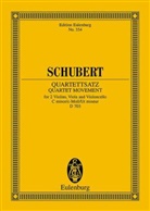 Franz Schubert, Ma Hochkofler, Max Hochkofler - Streichquartettsatz c-Moll op.posth. D 703, Partitur