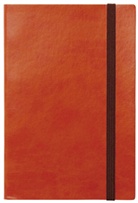 MARK'S Tages B6, EDiT Apricot orange 2016