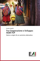 Davide Angelilli - Tra Cooperazione e Sviluppo: ALBA-TCP