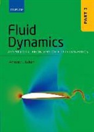 RUBAN, Anatoly I Ruban, Anatoly I. Ruban, Anatoly I. (Professor Ruban, Ruban Anatoly I. - Fluid Dynamics