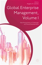 Angelo A. Camillo, Camillo, A Camillo, A. Camillo, Angelo A. Camillo - Global Enterprise Management