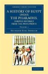Heinrich Brugsch, Heinrich Karl Brugsch, Brugsch Heinrich Karl - History of Egypt Under Pharaohs, Derived Entirely From Monuments: