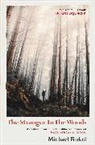 Michael Finkel, Mike Finkel, Finkel Michael, MIKE FINKEL - The Stranger in the Woods