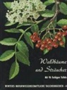 H H Fickler, H. H. Fickler, Hans-Heinrich Fickler, K E Haller, K. E. Haller, Karl E. Haller... - Waldbäume, Sträucher und Zwergholzgewächse