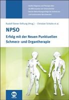 Christian Schütte, Rudolf-Siener-Stiftun, Rudolf-Siener-Stiftung - NPSO