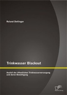 Roland Detlinger - Trinkwasser Blackout: Ausfall der öffentlichen Trinkwasserversorgung und deren Bewältigung