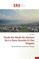 Saci Belgat, Belgat-s - Etude du mode de gestion de la