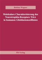 Bettina Wagner - Molekulare Charakterisierung des Neurotrophin-Rezeptors TrkA in humanen Glioblastomzelllinien