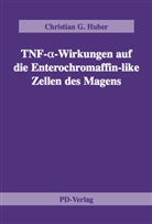 Christian G Huber, Christian G. Huber - TNF- -Wirkungen auf die Enterochromaffin-like Zellen des Magens