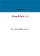 Frank Stelzer - Microsoft Excel 2013