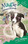 Daisy Meadows - Evie Scruffypup's Big Surprise