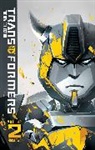 Barbe, John Barber, Flint Dille, Chris Metzen, Alex Milne, Livio Ramondelli... - Transformers: IDW Collection Phase Two Volume 2