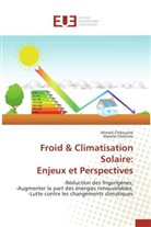 Wassila Chekirou, Ahme Chikouche, Ahmed Chikouche - Froid climatisation solaire: