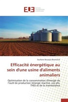 Soufiane Bouazza Boutchich, Boutchich-s - Efficacite energetique au sein d