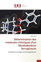 Ridha Hezzi, Hezzi-r - Determination des molecules