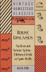 Geo H Dadd, Geo H. Dadd, George H. Dadd - Horse Diseases - The Brain and Nervous System - A Historical Article on Equine Health