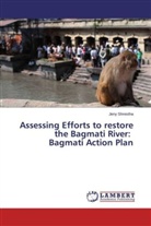 Jeny Shrestha - Assessing Efforts to restore the Bagmati River: Bagmati Action Plan