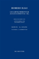 Claude Brügger - Homers Ilias. Sechzehnter Gesang - Band IX. Faszikel 2: Kommentar, m. 1 Buch, m. 1 E-Book
