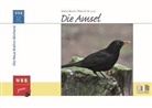 Stefa Bosch, Stefan Bosch, Peter W W Lurz, Peter W. W. Lurz - Die Amsel