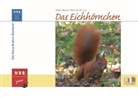 Stefa Bosch, Stefan Bosch, Peter W W Lurz, Peter W. W. Lurz - Das Eichhörnchen