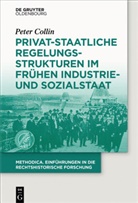 Peter Collin - Privat-staatliche Regelungsstrukturen im frühen Industrie- und Sozialstaat