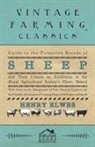 Henry Elwes - Guide To The Primitive Breeds Of Sheep And Their Crosses On Exhibition At The Royal Agricultural Society's Show, Bristol 1913