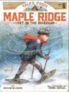 Grace Gilmore, Grace/ Brown Gilmore, Petra Brown - Lost in the Blizzard