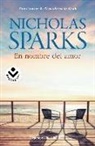 Nicholas Sparks - En nombre del amor