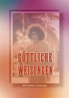 Anil Kumar Kamaraju - Göttliche Weisungen