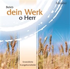 diverse, Various - Beleb dein Werk o Herr, 1 Audio-CD (Hörbuch)