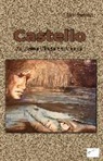 Dirk Steinert - Castello
