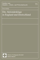 Felix Rollin, Felix Rollin - Die Aktionärsklage in England und Deutschland